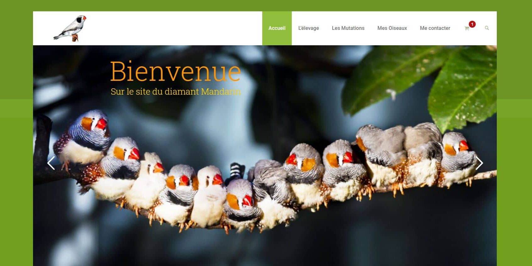 le diamant mandarin