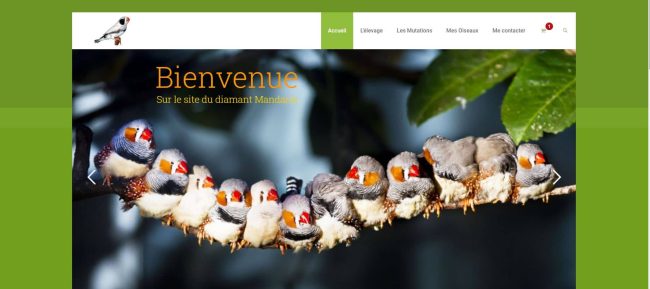 le diamant mandarin