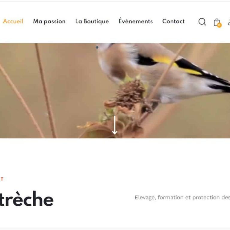Site-perso-Kamel-Latreche site personnel de K